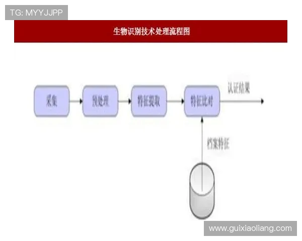 广州排球队的速度分析与战术应用探讨