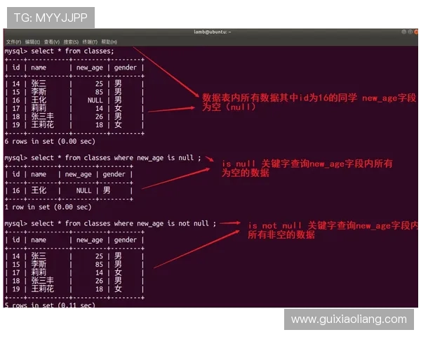 数据分析揭示FPX在战术灵活性方面的卓越表现与关键因素