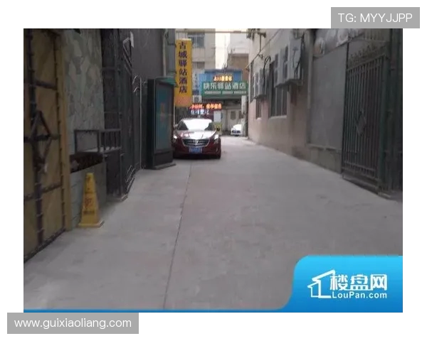 西安极限运动队的热潮与发展趋势深度解析